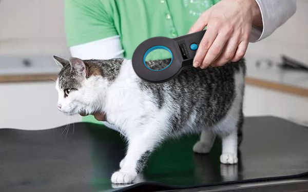 RFID宠物芯片是什么？